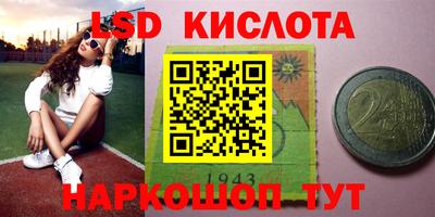 apvp Бийск