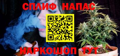 apvp Бийск