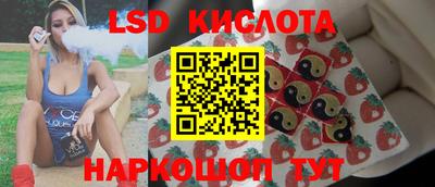 apvp Бийск