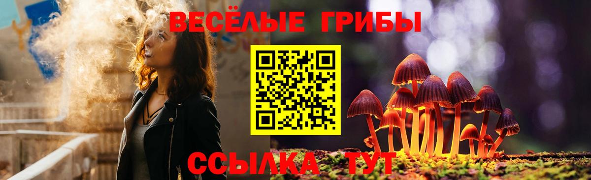 Галлюциногенные грибы GOLDEN TEACHER  Вход с VPN  Калуга  Галлюциногенные грибы мицелий 